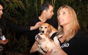 Resgate de beagles em São Roque