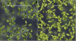 Fabricante do Gorilla Glass anuncia telas a prova de germes e bactérias Comparativo de Bactérias com e sem novo Gorilla Glass