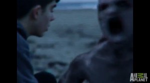 Vídeos de sereias exibidos pelo Animal Planet são falsos