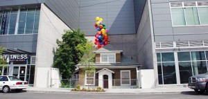 Casa que inspirou a animação 'Up' terá final feliz